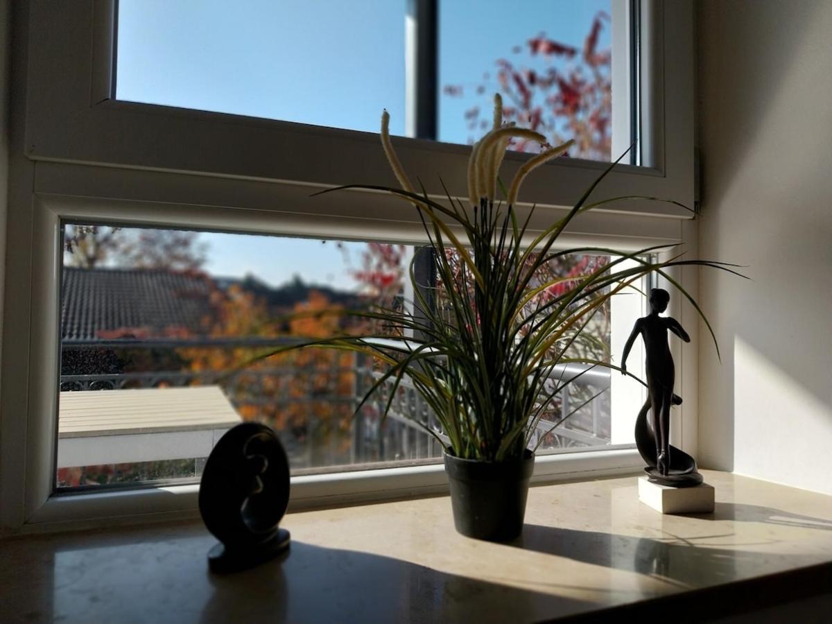 Bad Aibling City Apartment - Alpenblick Bagian luar foto